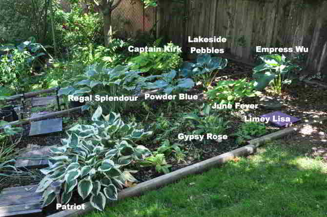 upper southern section of tiered beds along eastern portion of back yard