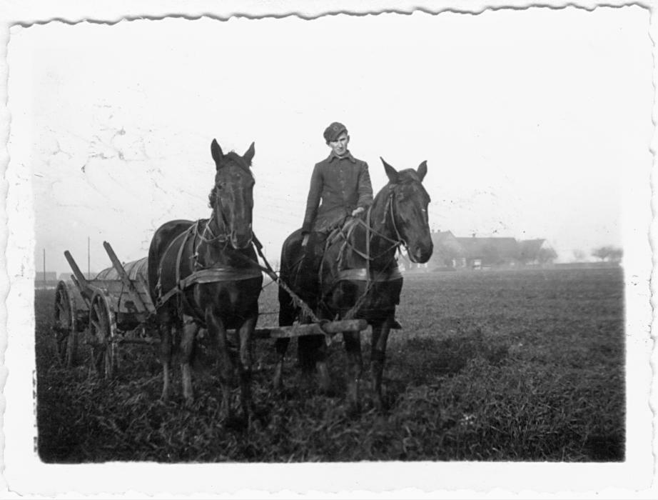 Could be photo from Sophie's father's farm after the war.
