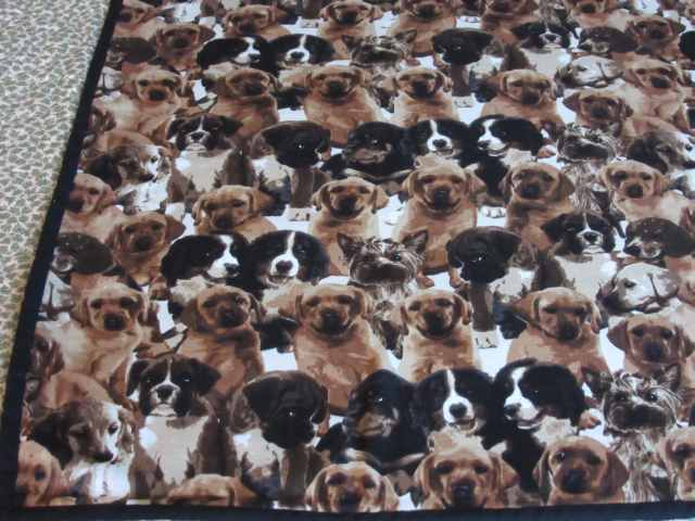 a closer look at the fabric on front of the blanket