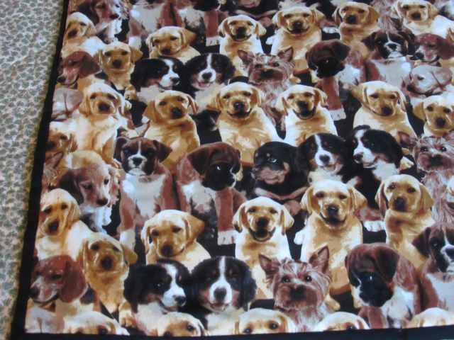 a closer look at the fabric on front of the blanket