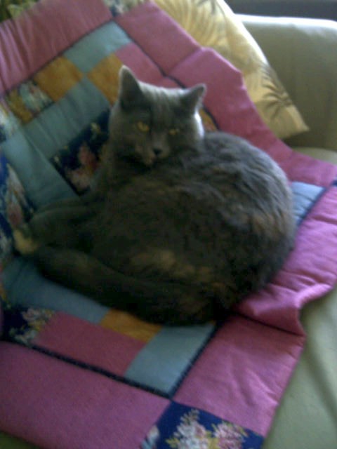 A shot of Zoe using her quilt.